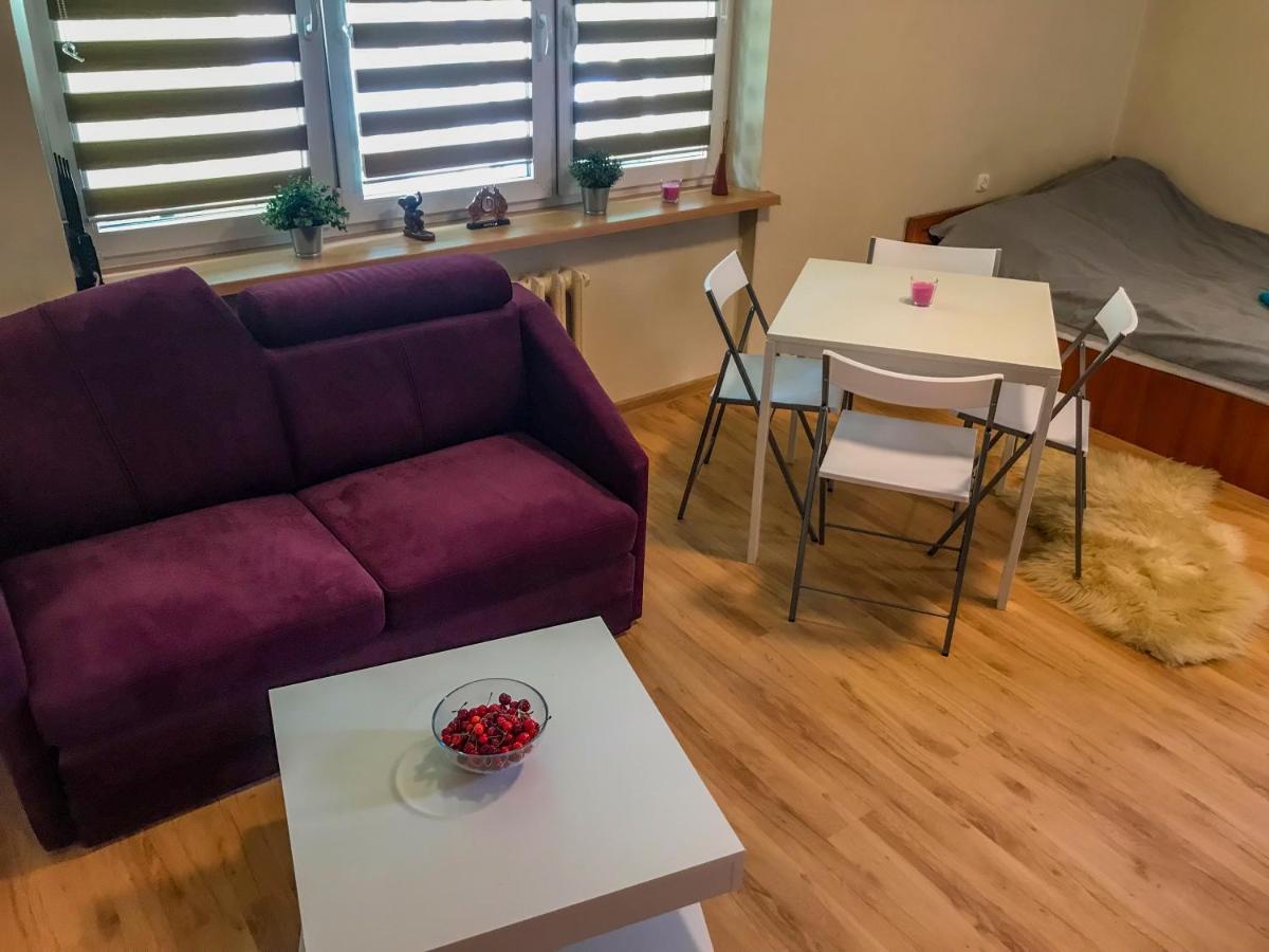 Cosy Studio In Quiet Location Puławy Екстериор снимка